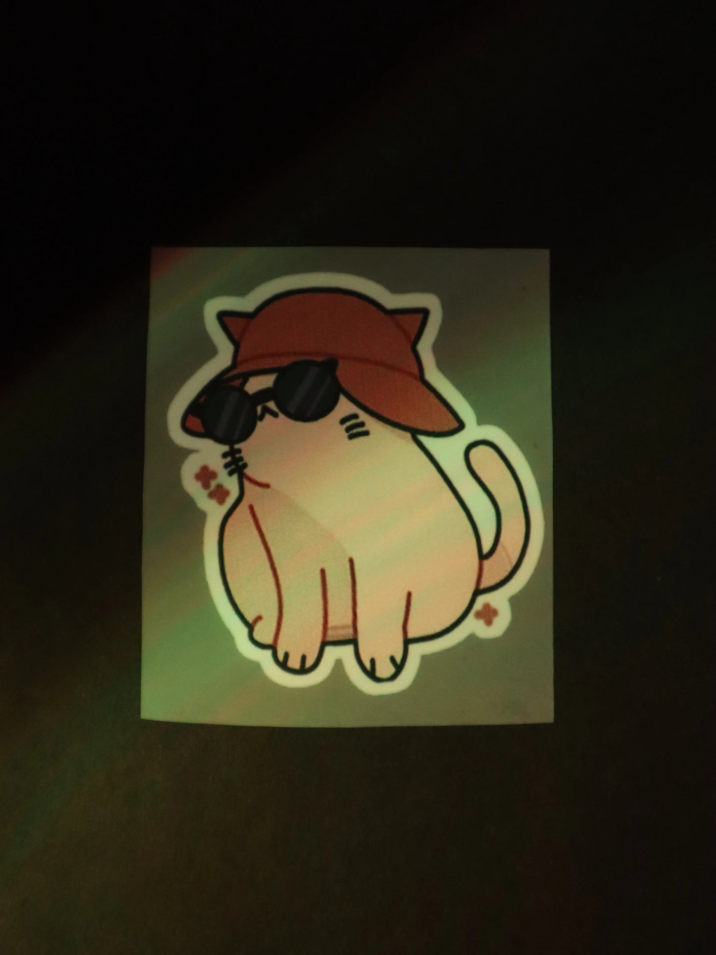 Pawparazzi Ready | Iron on patch | Kitty Cat