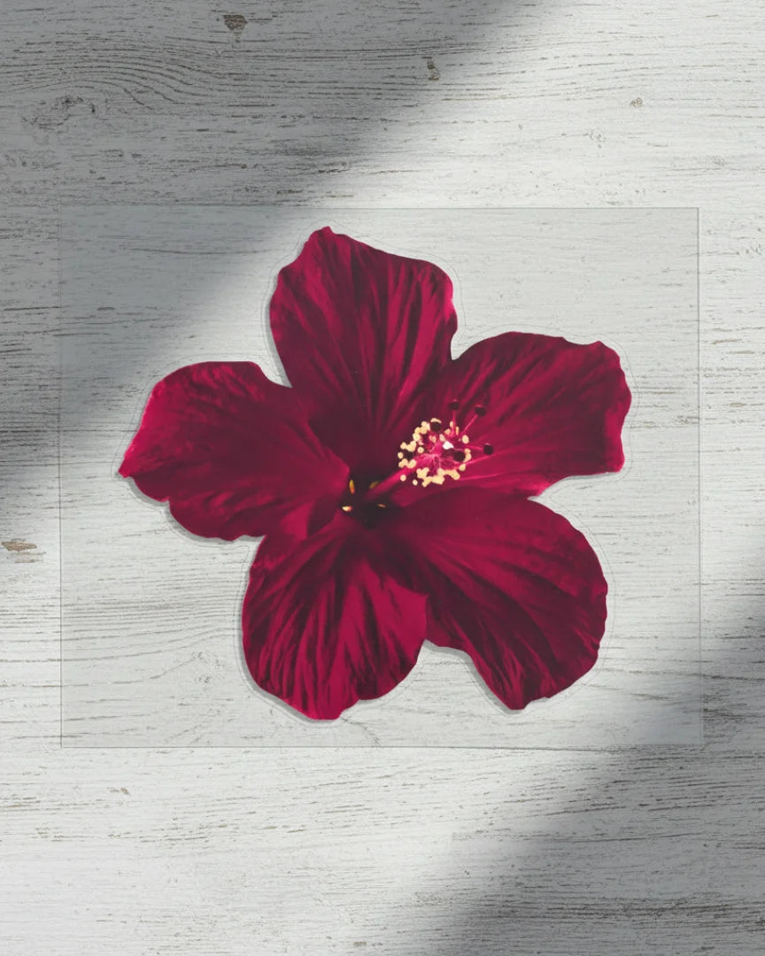 Midnight Hibiscus | Iron-on Patch | Pinterest board