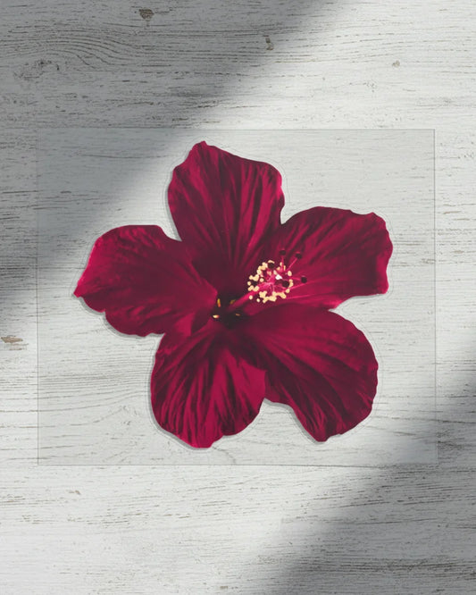 Midnight Hibiscus | Iron-on Patch | Pinterest board