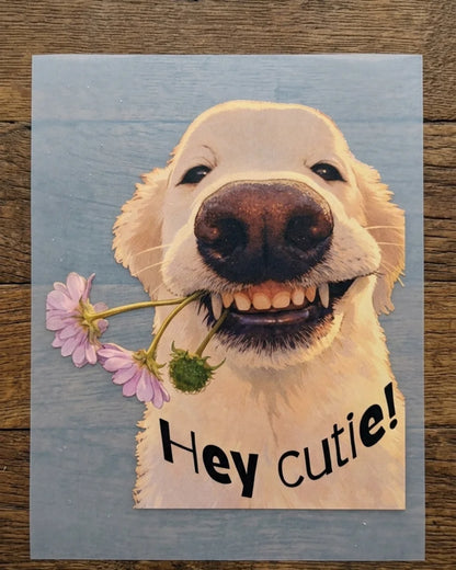Hey Cutie | Iron-on Patch | Pawfect Vibes