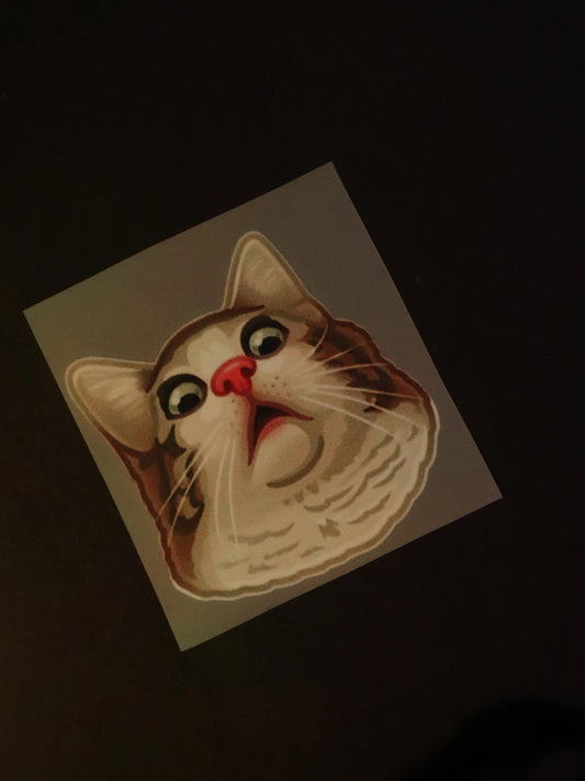 Oh Meowgawd! | Iron on patch | Kitty Cat