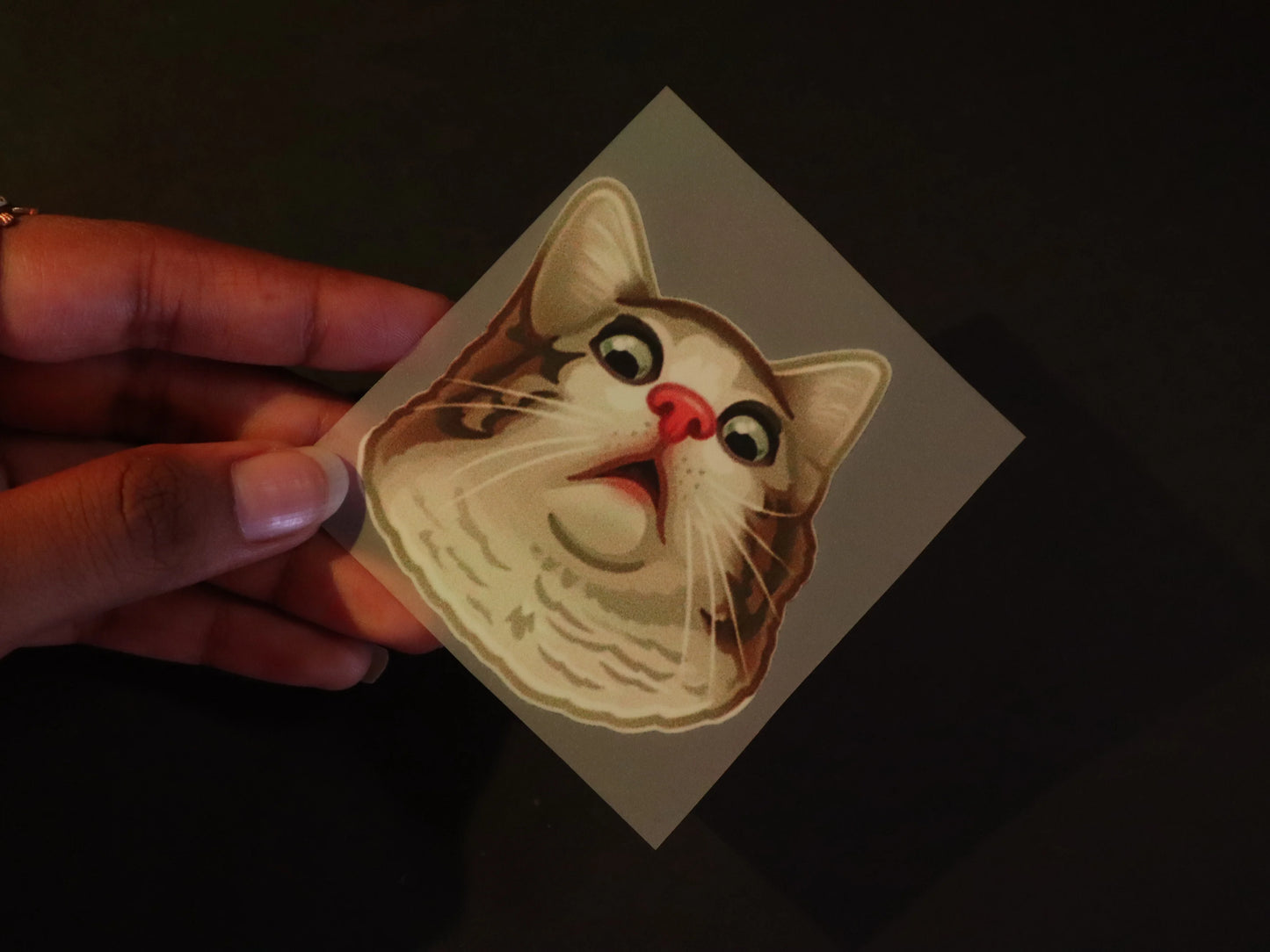 Oh Meowgawd! | Iron on patch | Kitty Cat