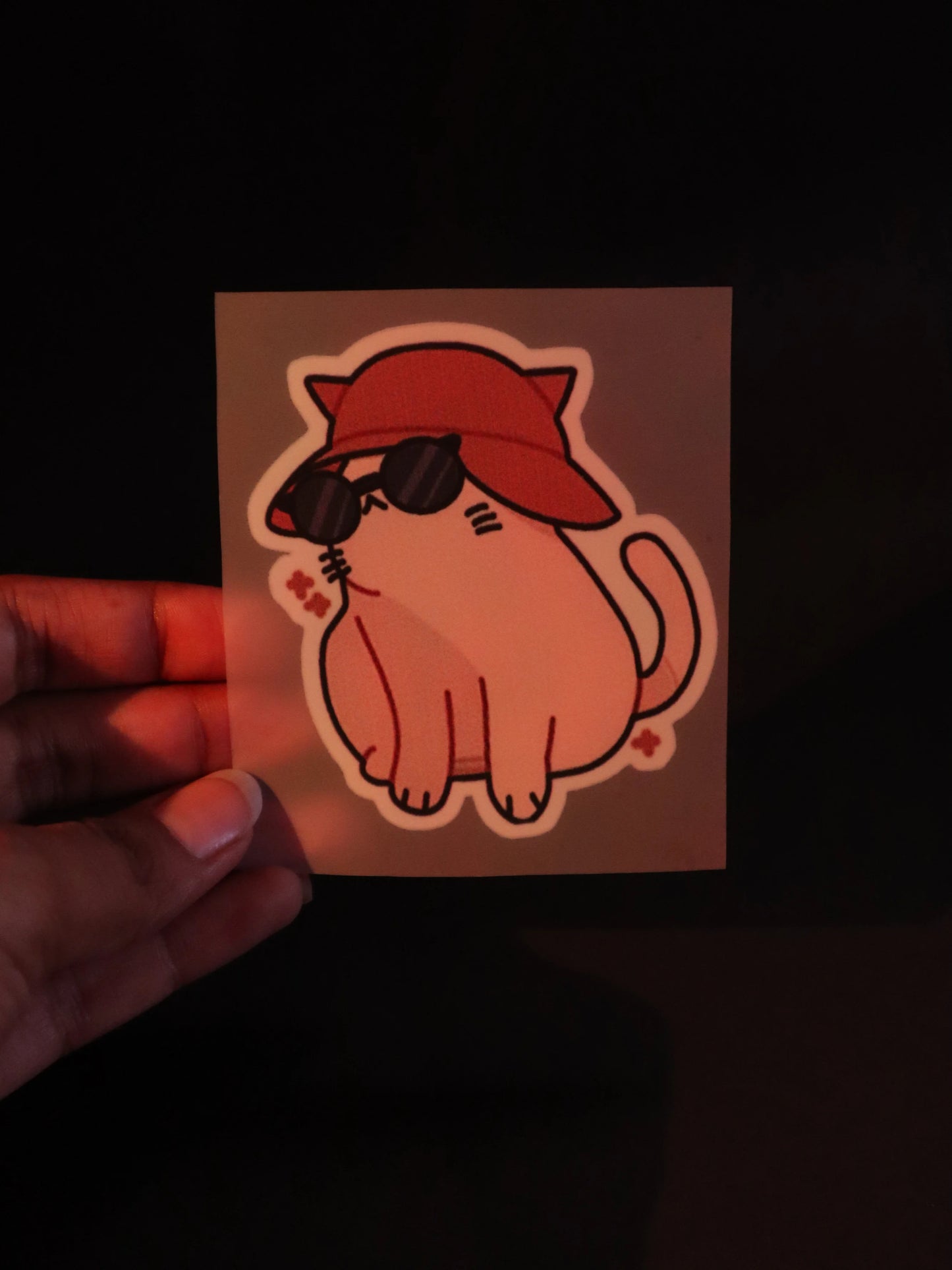 Pawparazzi Ready | Iron on patch | Kitty Cat