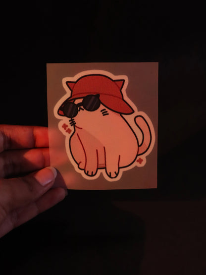 Pawparazzi Ready | Iron on patch | Kitty Cat