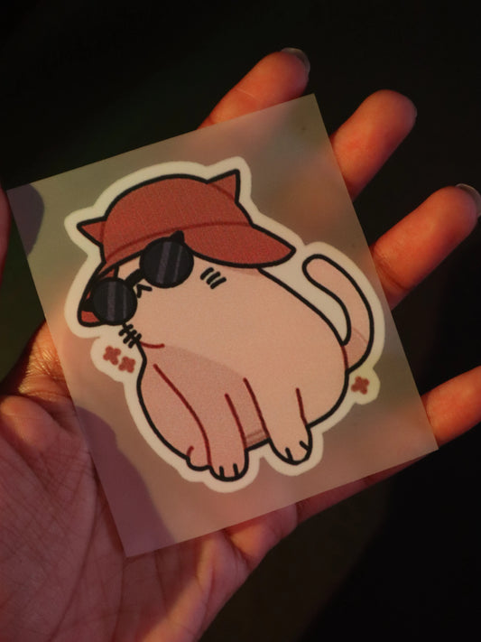 Pawparazzi Ready | Iron on patch | Kitty Cat