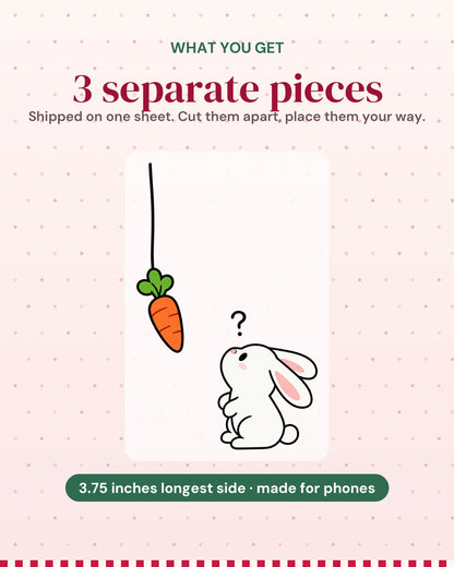 Bunny Chase: what you get