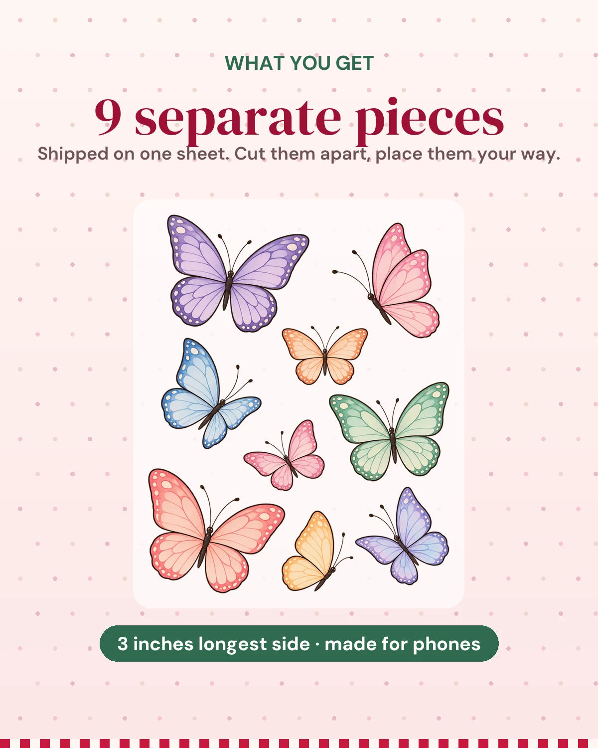 Butterfly Garden: what you get