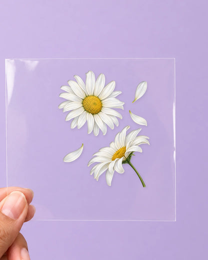 Daisy Duo: all pieces on clear film