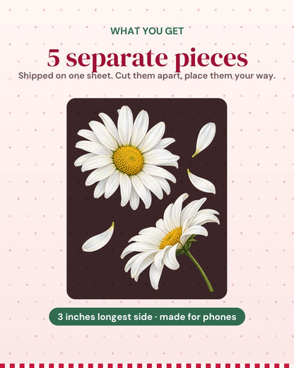 Daisy Duo: what you get