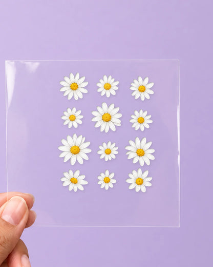 Daisy Nights: all pieces on clear film