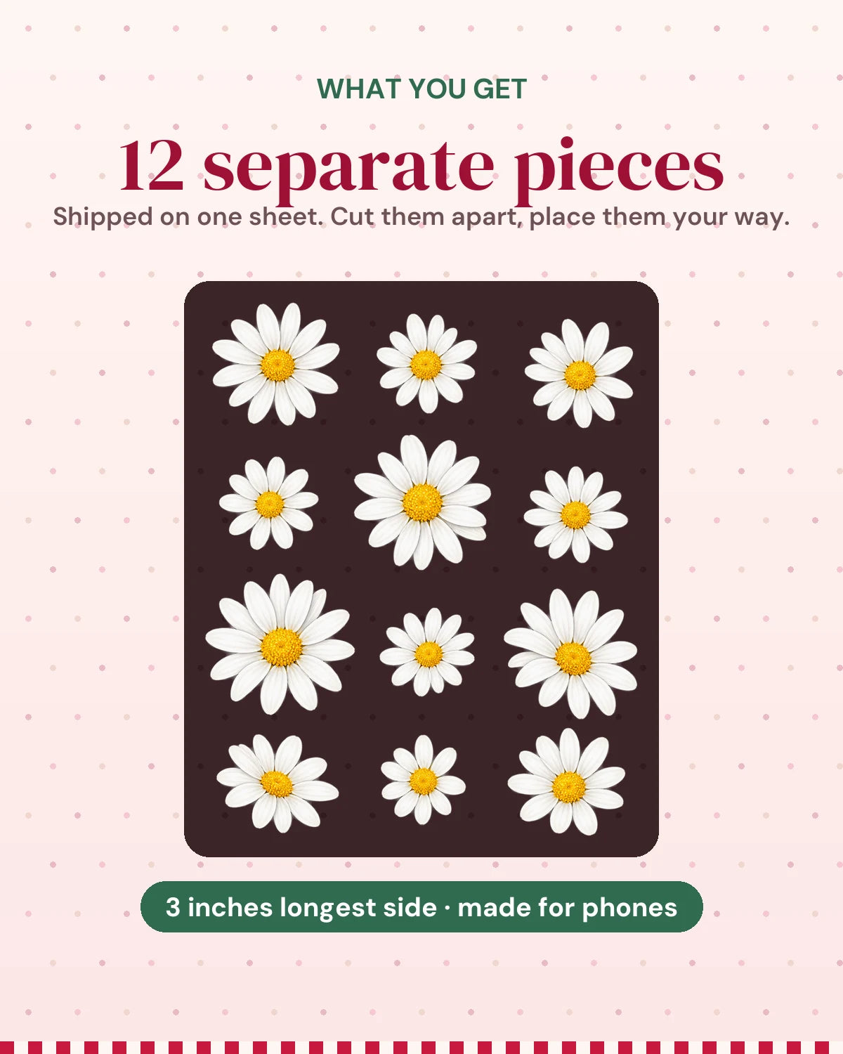 Daisy Nights: what you get