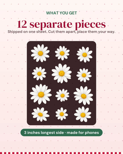Daisy Nights: what you get