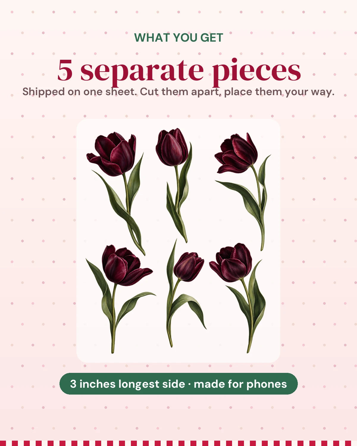 Dark Tulips: what you get