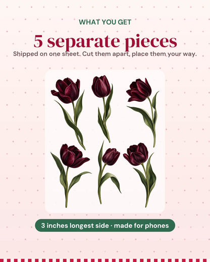 Dark Tulips: what you get