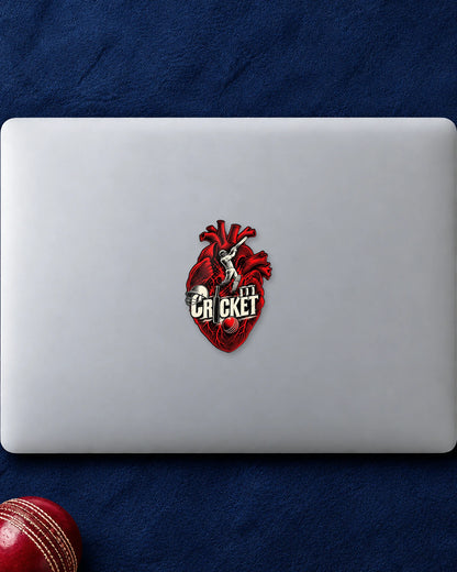Dil Se Cricket hard surface patch mockup
