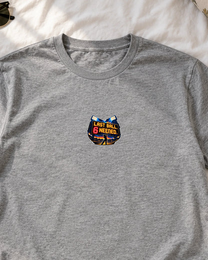 Last Ball 6 Needed iron-on patch on clothes