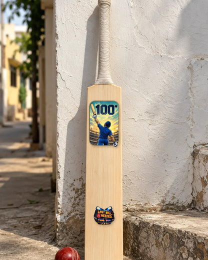 Match Day Kit on a full cricket bat