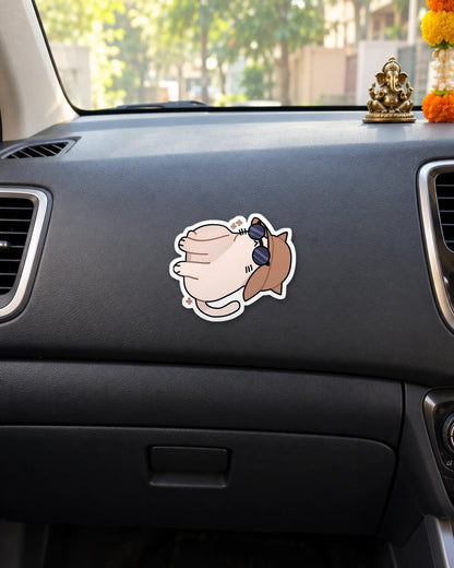 Pawparazzi Ready hard surface patch mockup