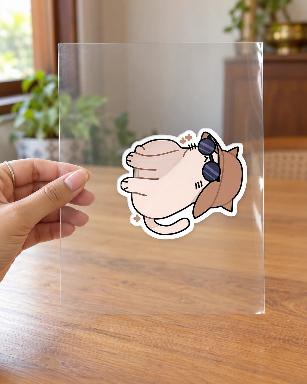 Pawparazzi Ready hard surface patch on clear film