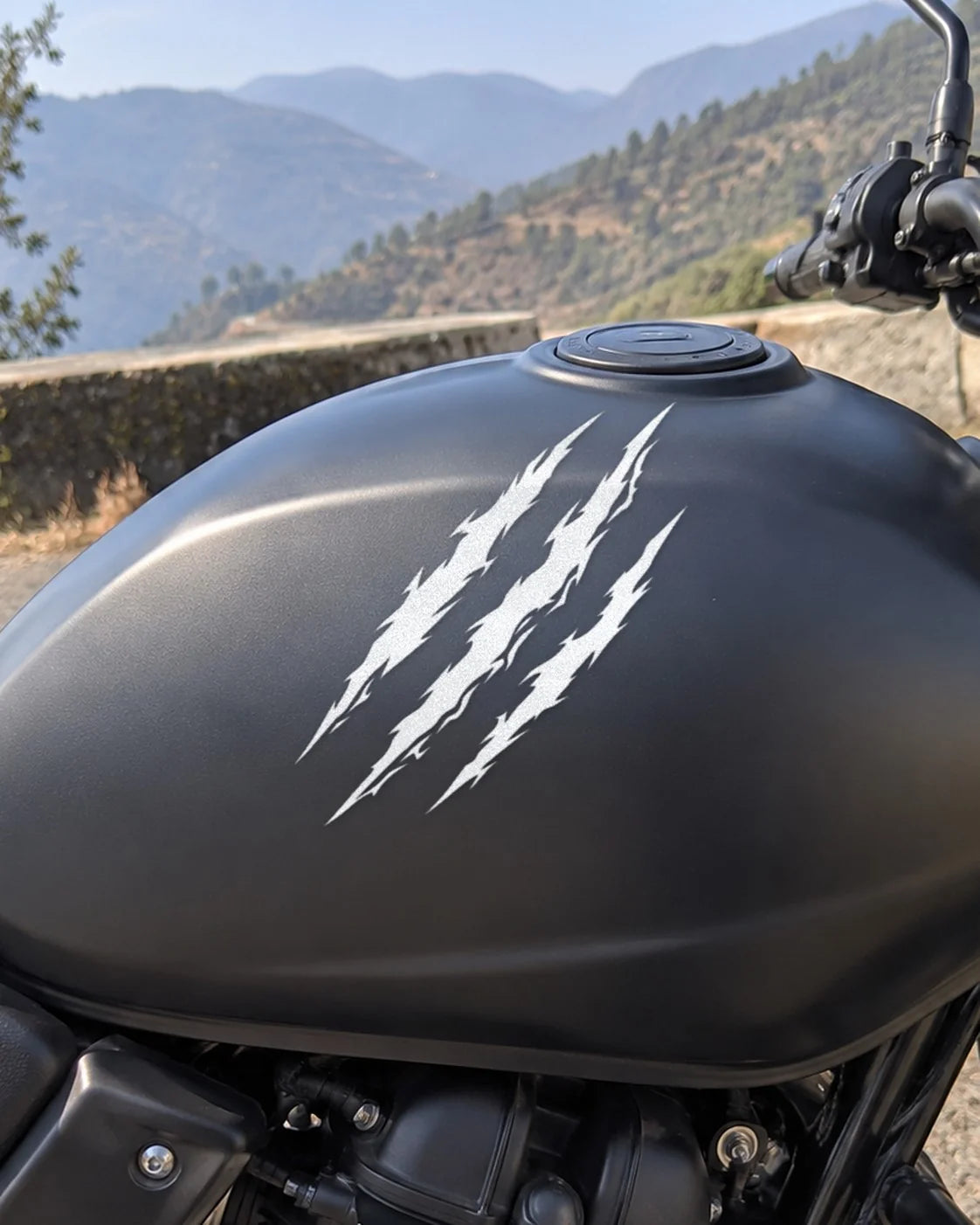 Raptor Rip bike patch in white ink on a bike