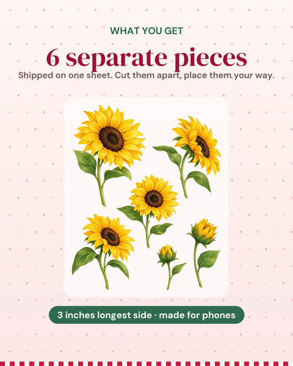 Sunflower Field: what you get