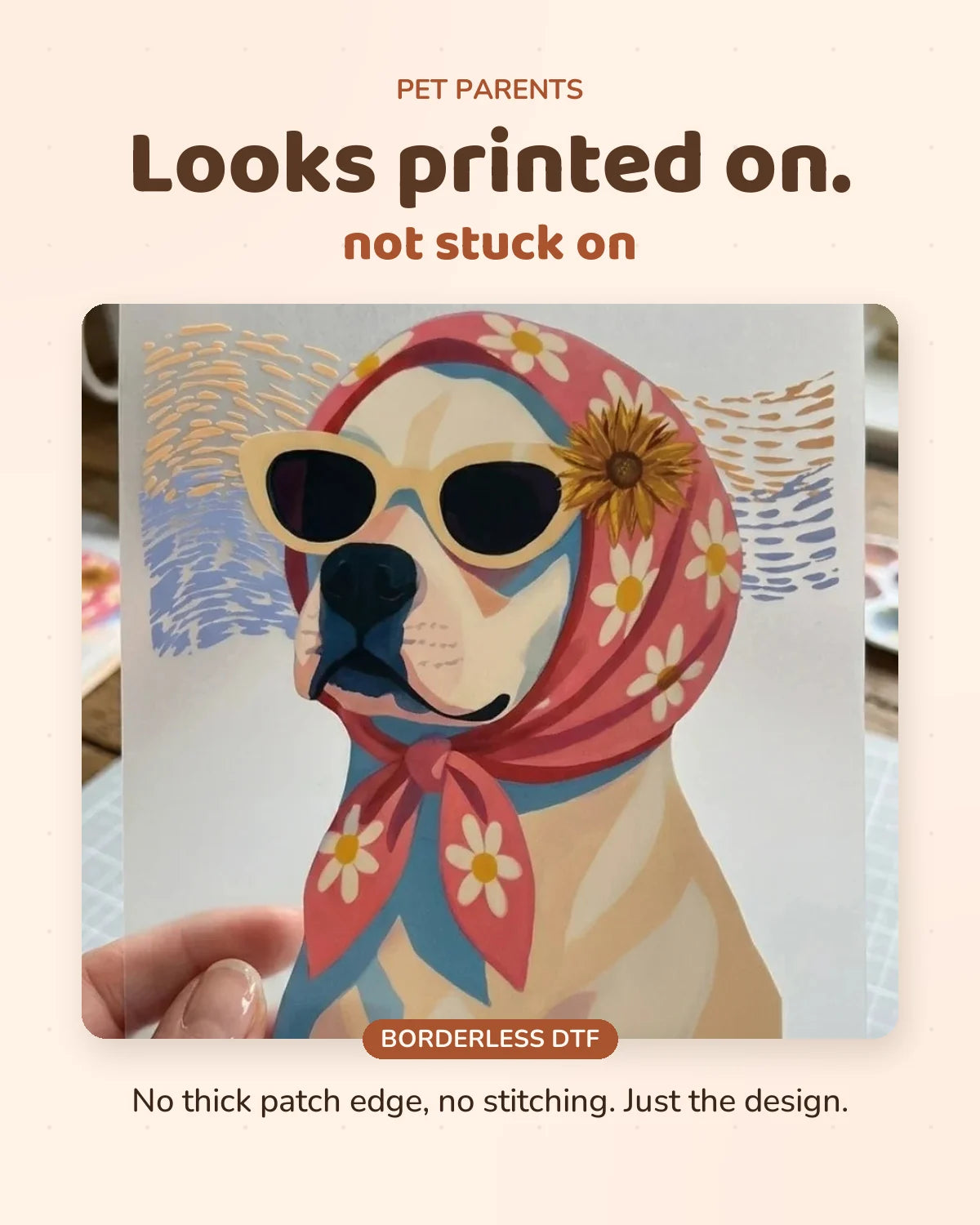 Desert Diva: how and where to apply